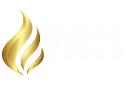 Logo MS Regularizacoes
